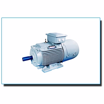 Crane Duty Motors-1106