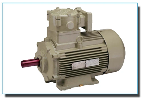 High Efficiency Flameproof Motors-1122