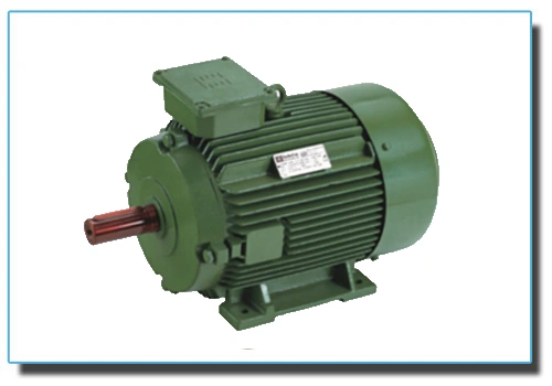 Inverter Duty Motors-1129