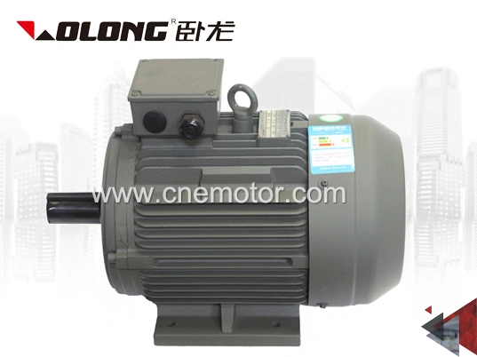 YE3/YE4/YE5 high efficiency asynchronous induction motor-Ma202