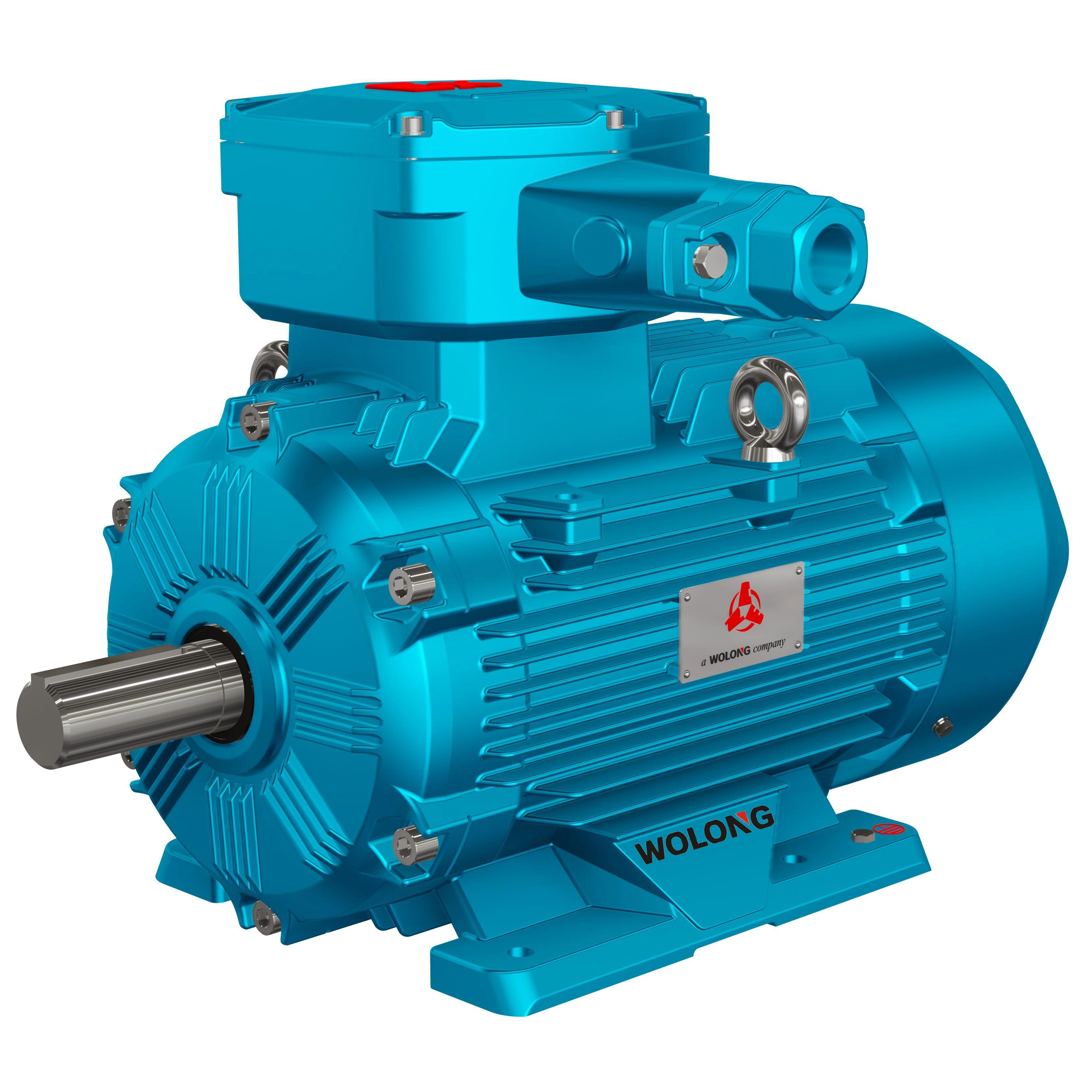 YBX5/YBX4/YBX3 Low voltage explosion-proof motor-Ma207