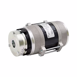 Home appliance motors