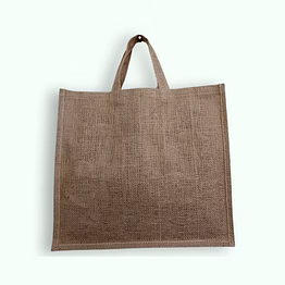 globus carry bag
