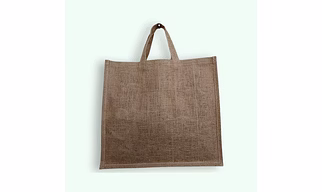 Globus Carry Bag