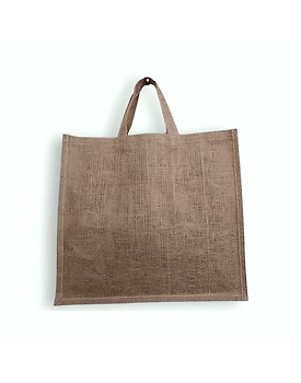 Globus Carry Bag