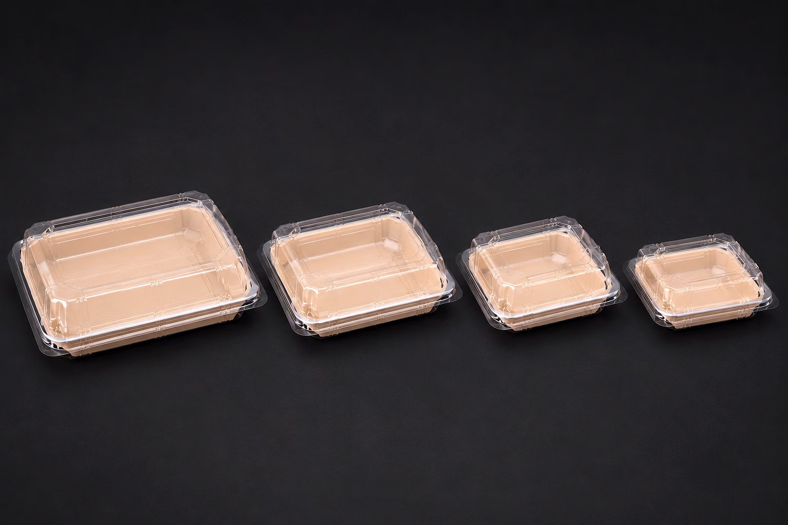 0.8 Sushi Tray image 3
