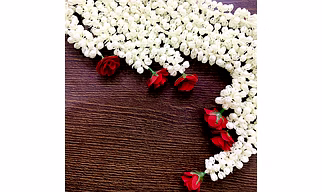 Jasmine Strings