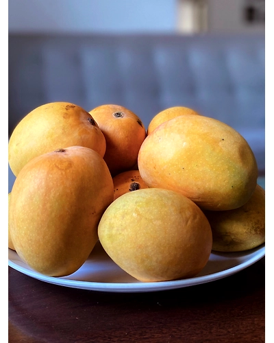 Alphonso Mango-11680476