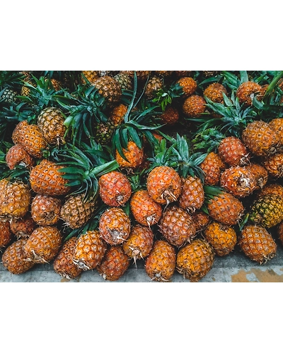 Pineapple-11680540
