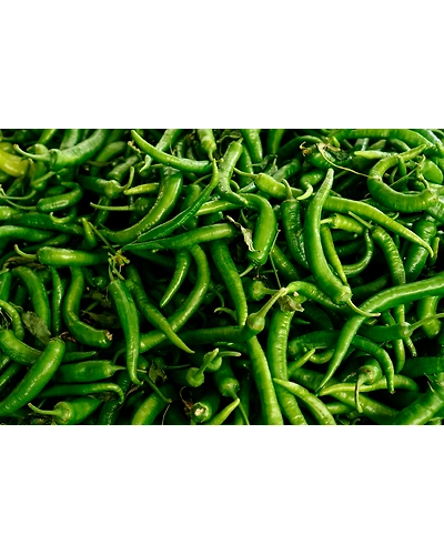Green Chillies-11680620
