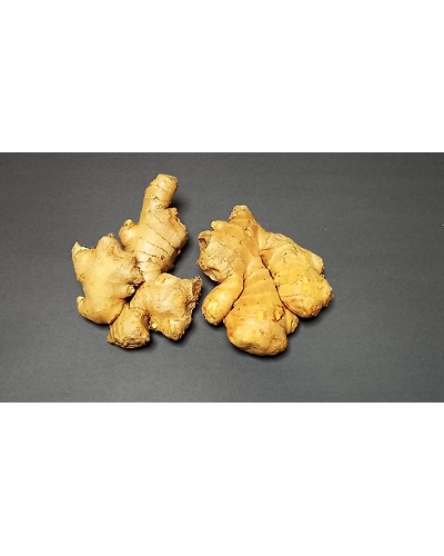 Ginger-11680630