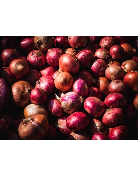 Onion