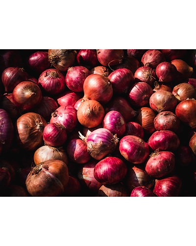 Onion-11680636