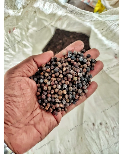 Malabar Black Pepper Top Grade Kerala-1