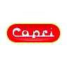 Capri Transformers Pvt Ltd