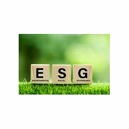 esg & brsr reporting