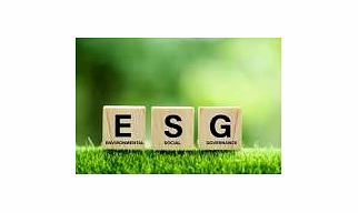 ESG & BRSR Reporting