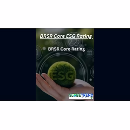 brsr core rating