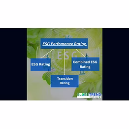 esg performance rating