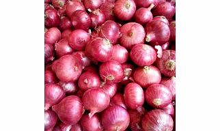 Fresh Red Onions