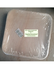 10x10 Inch Square Premium Areca Palm Leaf Plates