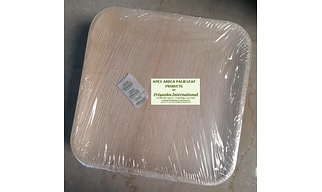 10x10 Inch Square Premium Areca Palm Leaf Plates