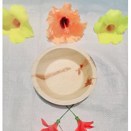apex areca products by priyanka international 6 inch round premium areca palm leaf plates