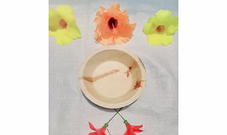 6 Inch Round Premium Areca Palm Leaf Plates