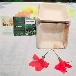 Apex Areca Products by Priyanka International 4 Inch Square Premium Areca Palm Leaf Bowl
