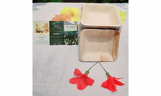 4 Inch Square Premium Areca Palm Leaf Bowl