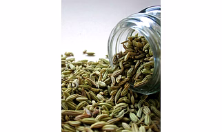 Fennel Saunf