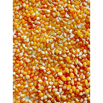 Whole Maize