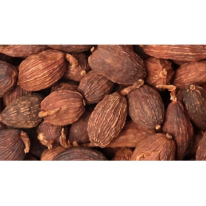 Larger/Black cardamom