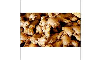 Indian fresh ginger