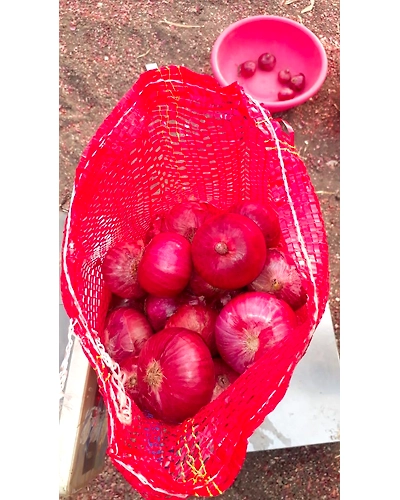 Fresh Red Onion-3