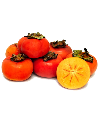 Persimmon-Gf1098