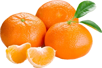 Mandarin - Imported Mini Orange-Gf1081