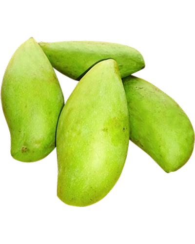 Totapuri Mango-Gf1111
