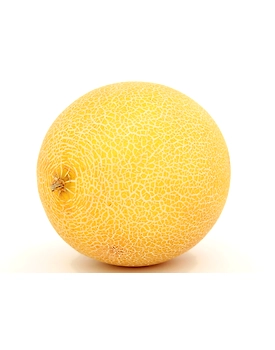 Muskmelon