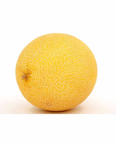 Muskmelon-Gf1087