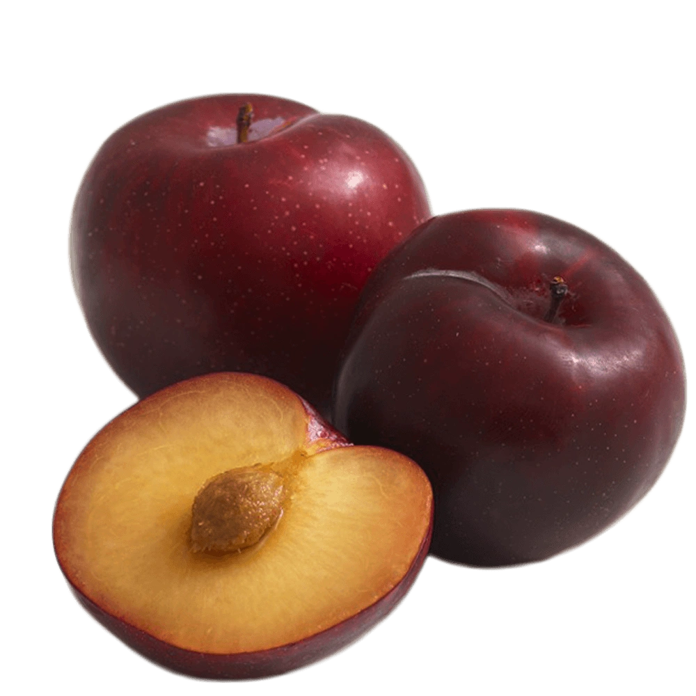 Plum - Indian-Gf1101