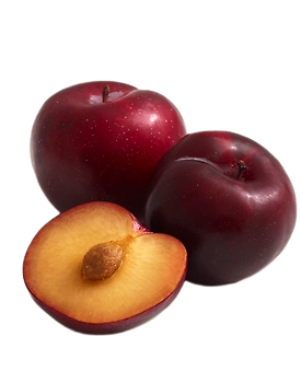 Plum - Indian