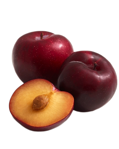 Plum - Indian-Gf1101