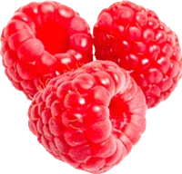 Raspberry-Gf1104