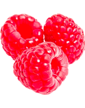Raspberry