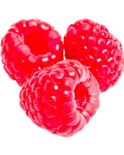Raspberry-Gf1104
