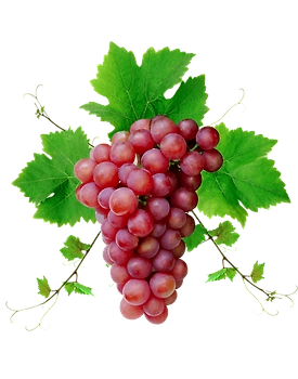 Red Globe Grapes - Imported