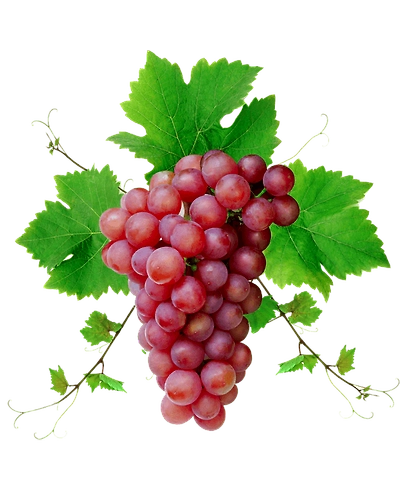 Red Globe Grapes - Imported-Gf1106