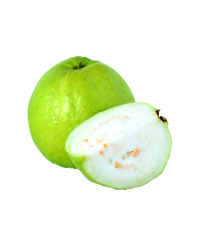 Thai Guava-Gf1110