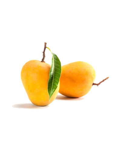 Alphonso Mango-Gf1001